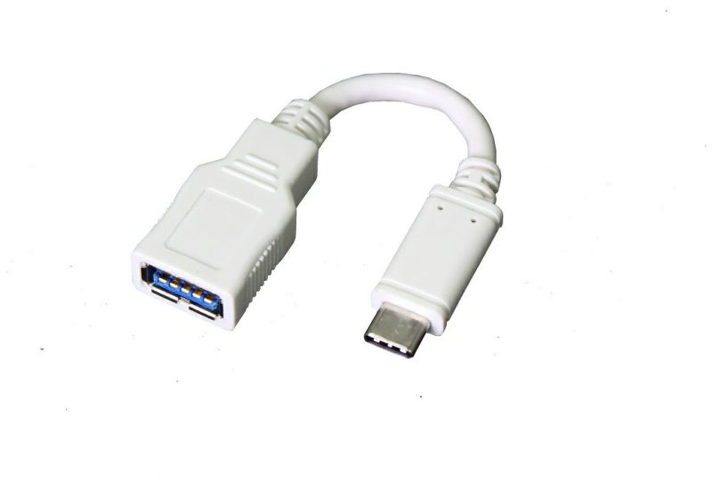 ネコポス対応】USB Type-C変換ケーブルAPS-UCA02 | パイオニアIT